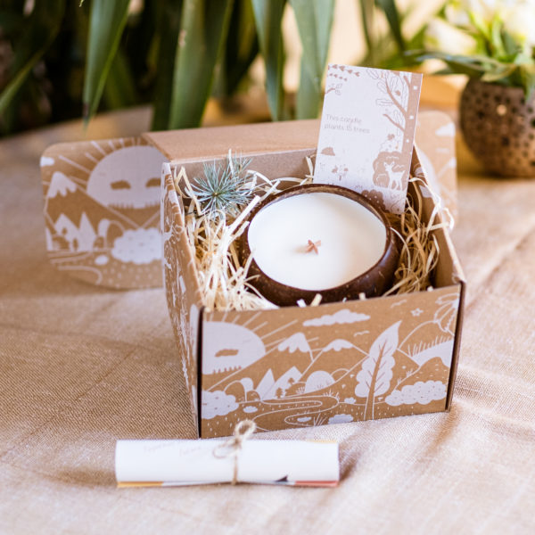 eco-friendly-candles-natural-forest
